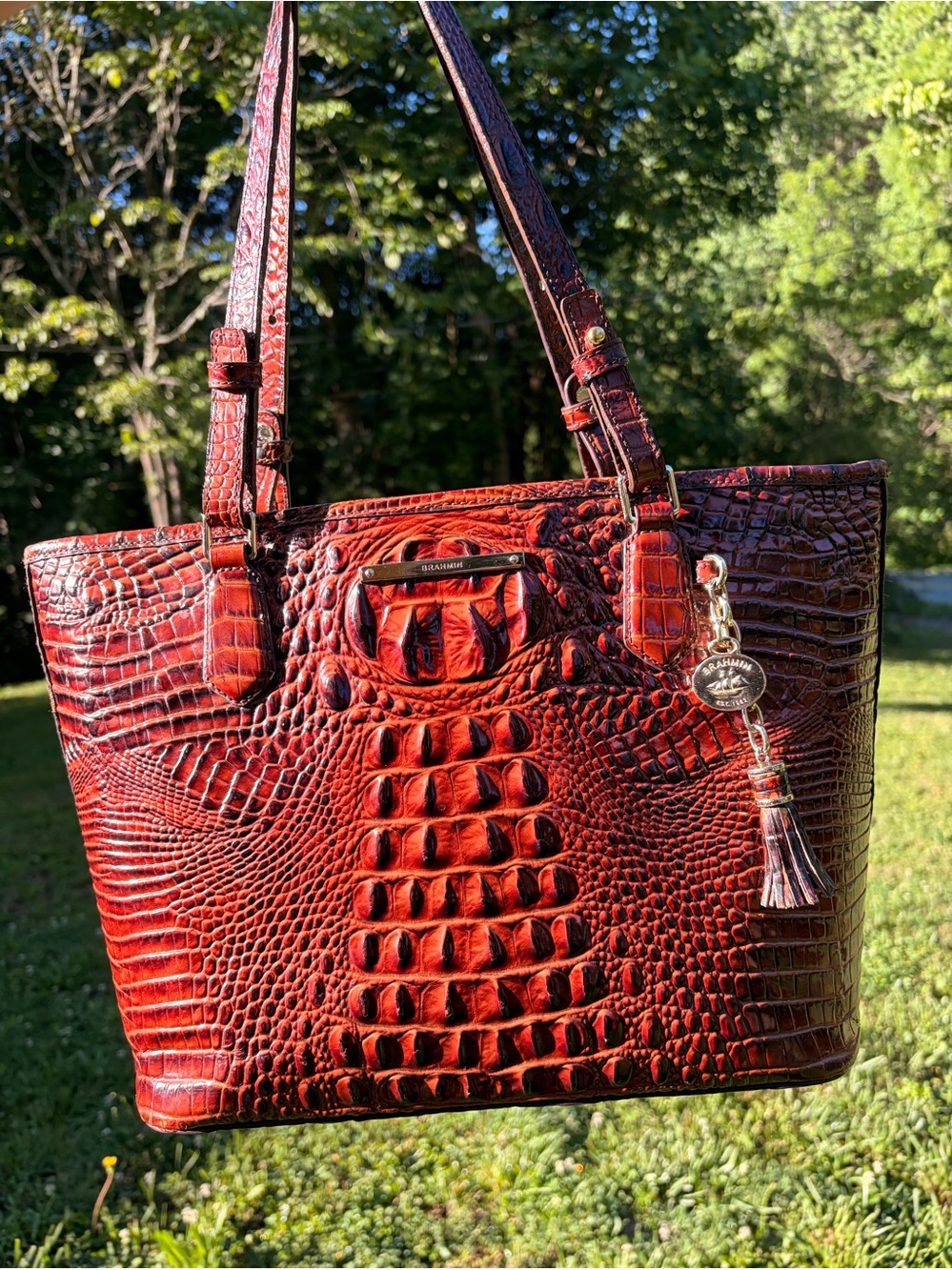 Brahmin Pecan Asher
Croc-Embossed Leather Tote Bag - Picture 5 of 11